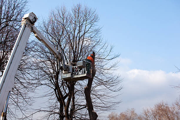 Soil Testing and Treatment in Ashville, OH