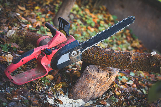Ashville, OH Tree Care Company